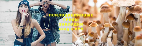 соль ск Верея