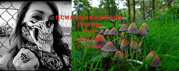 ПСИЛОЦИБИНОВЫЕ ГРИБЫ Волоколамск
