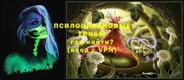 соль ск Верея