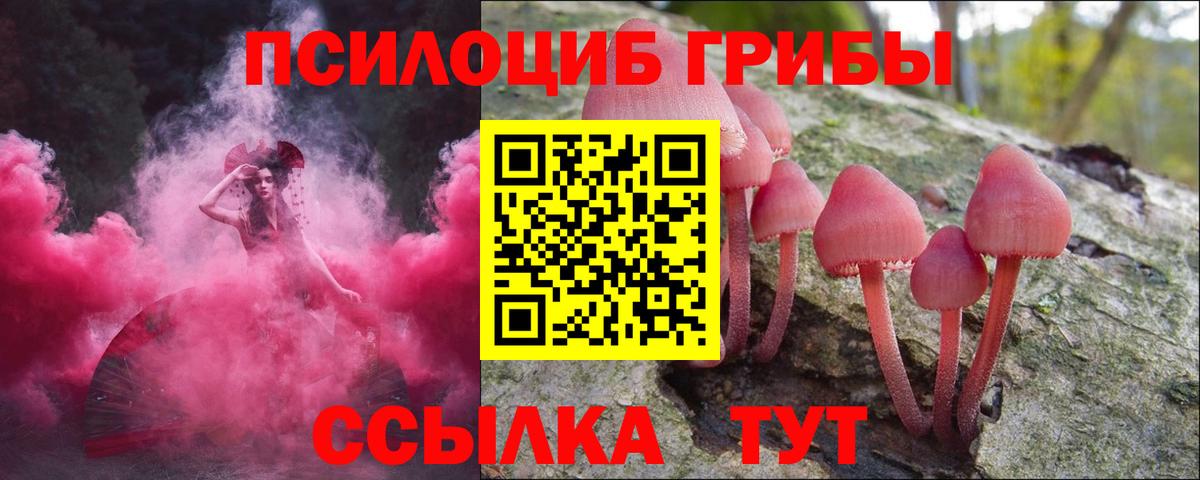 Медногорск  Галлюциногенные грибы прущие грибы  Галлюциногенные грибы Cubensis  Вход с VPN 