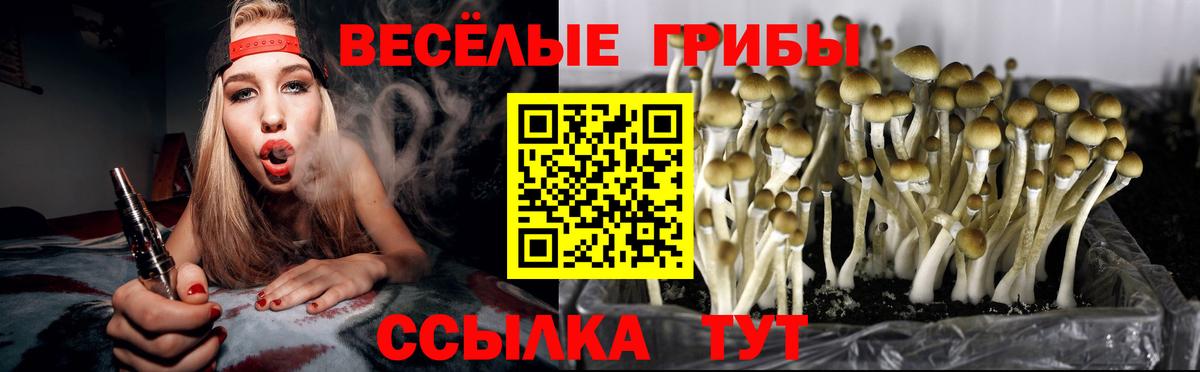 Псилоцибиновые грибы мухоморы Медногорск